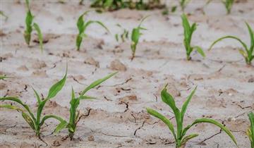 Algemeen onttrekkingsverbod voor onbevaarbare waterlopen