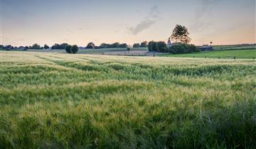 Stad Zottegem sluit zich aan bij Landschapsparkcoalitie