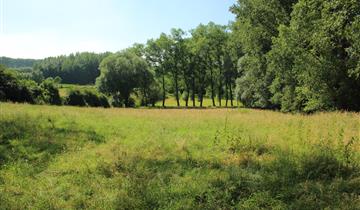 ‘Parkbos-Uilenbroek’ nature reserve