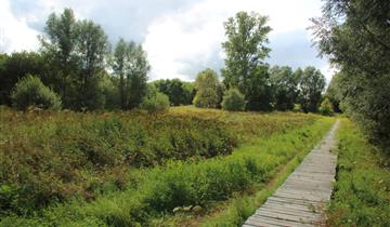 Walking in natural areas