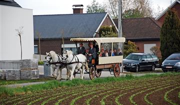 Covered wagon ride with the 'Sylvesters Hoeve'