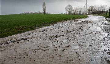 Schadecommissie landbouw na extreme regenval