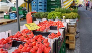 Vijf dinsdagen Maand van de Markt
