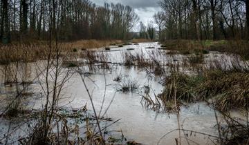 Openbaar onderzoek - Waterloop OS115bis