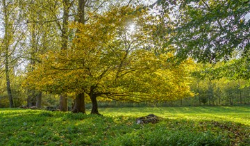 Code oranje: risico op natuurbrand