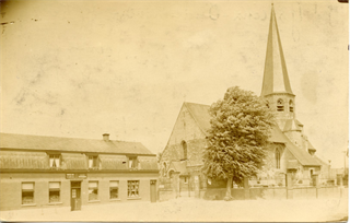 Vredesboom